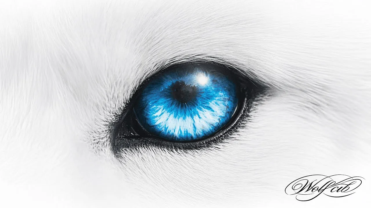 25 ชั่วโมง (คิดถึงเกิน)