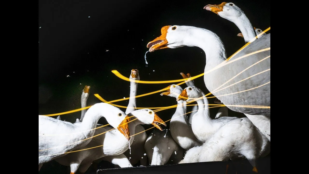 เปรตป่ะ