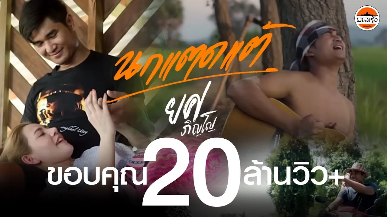 นกแตดแต้