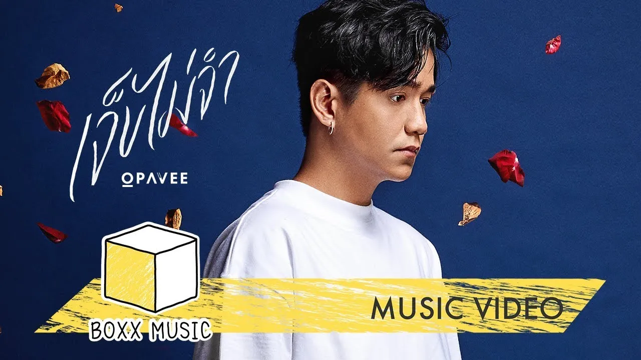 เจ็บไม่จำ